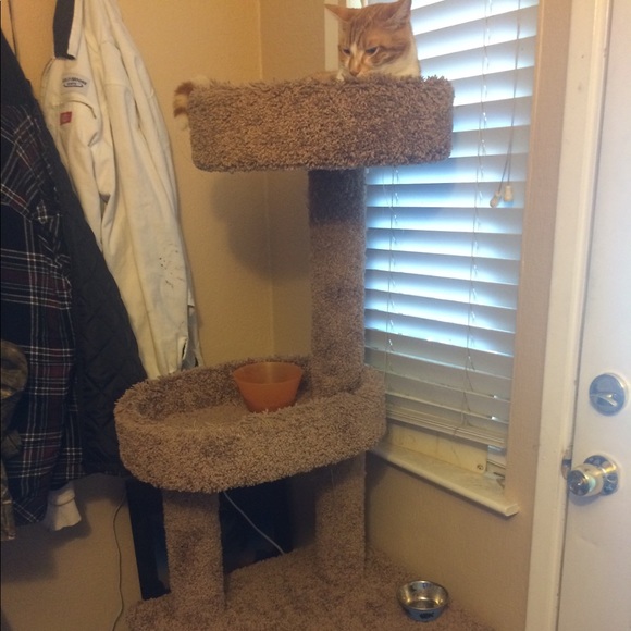 Meet your Posher, Emily - Picture 1 of 1